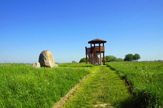 das Katinger Watt mit Aussichtsturm