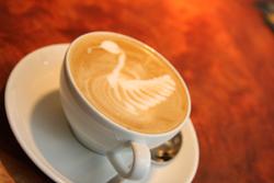 cappuccino mit latte art