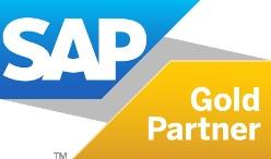 Ihr SAP-Partner in Hamburg