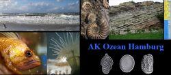 Themen des AK Ozeans