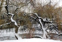 Schnee in Hamburg - nicht fr jeden ein Vergngen