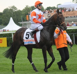 Derbysieger Pastorius mit Jockey Terence Hellier