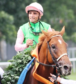 Derbysieger Isfahan mit Jockey Dario Vargiu